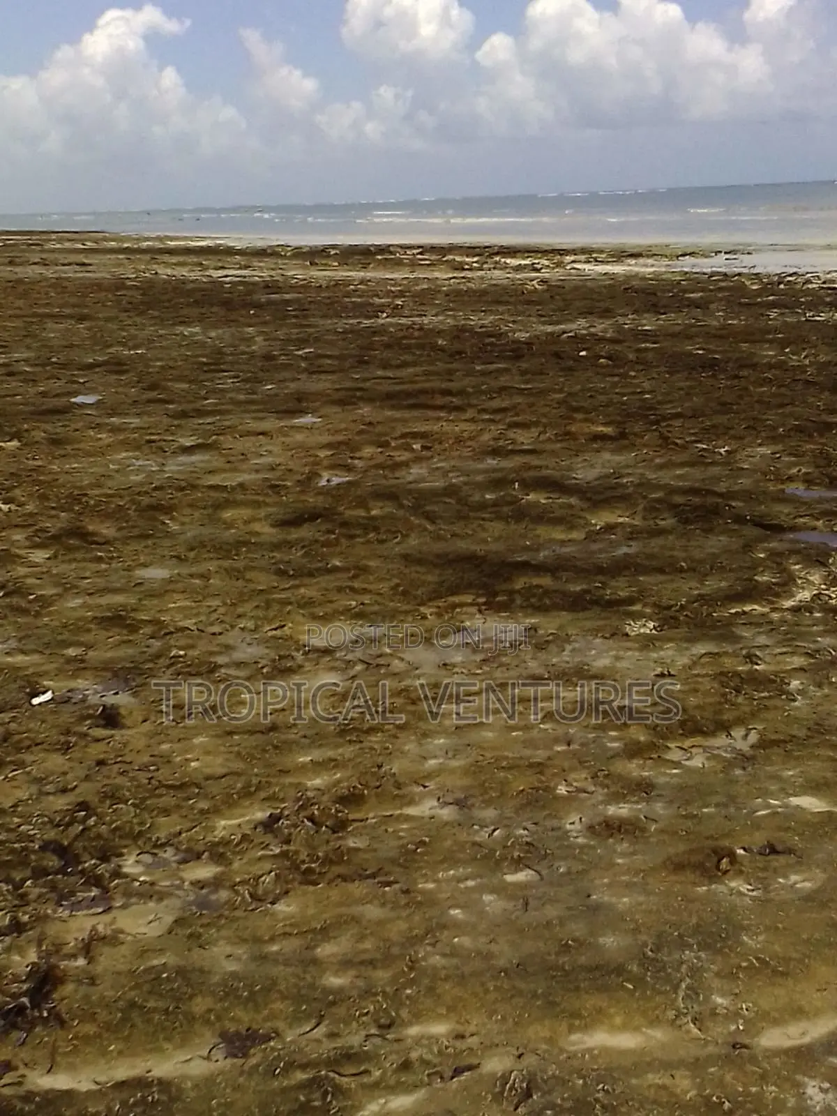 Beach Land for Sale