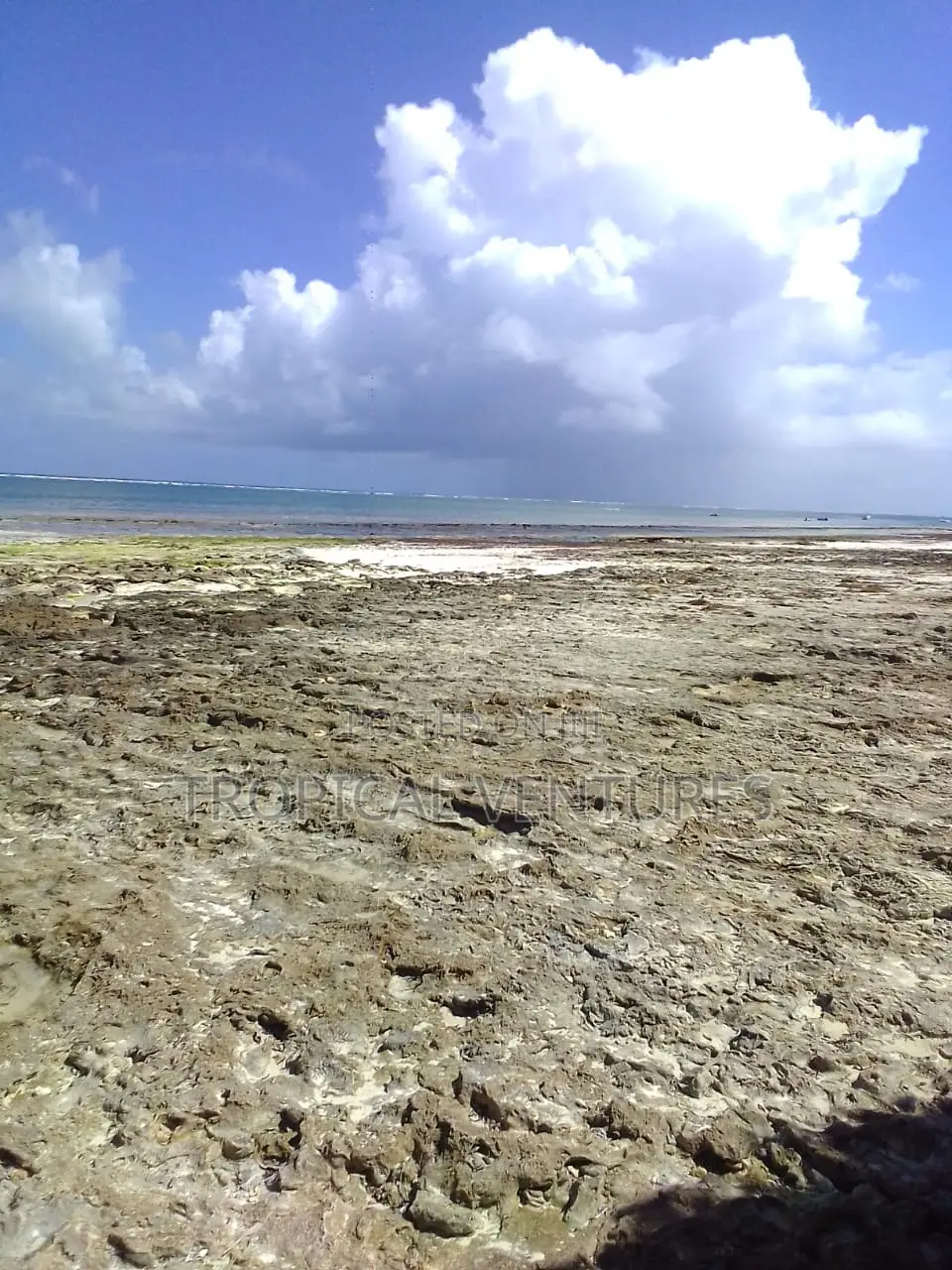 Beach Land for Sale
