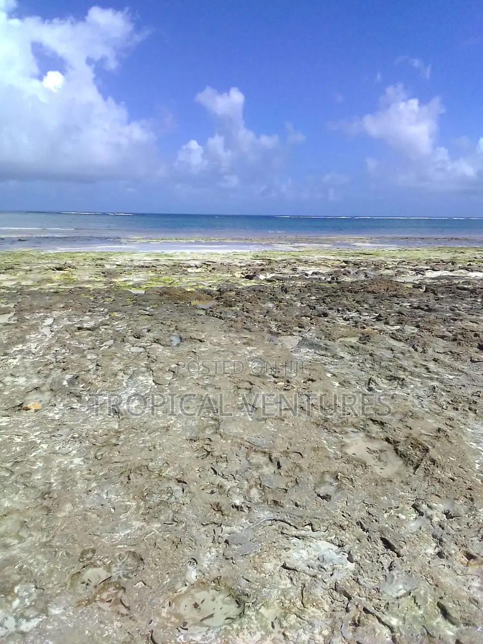 Beach Land for Sale