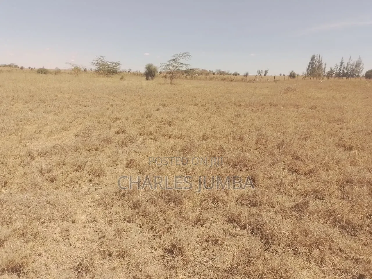 1/8 Plot at KAG