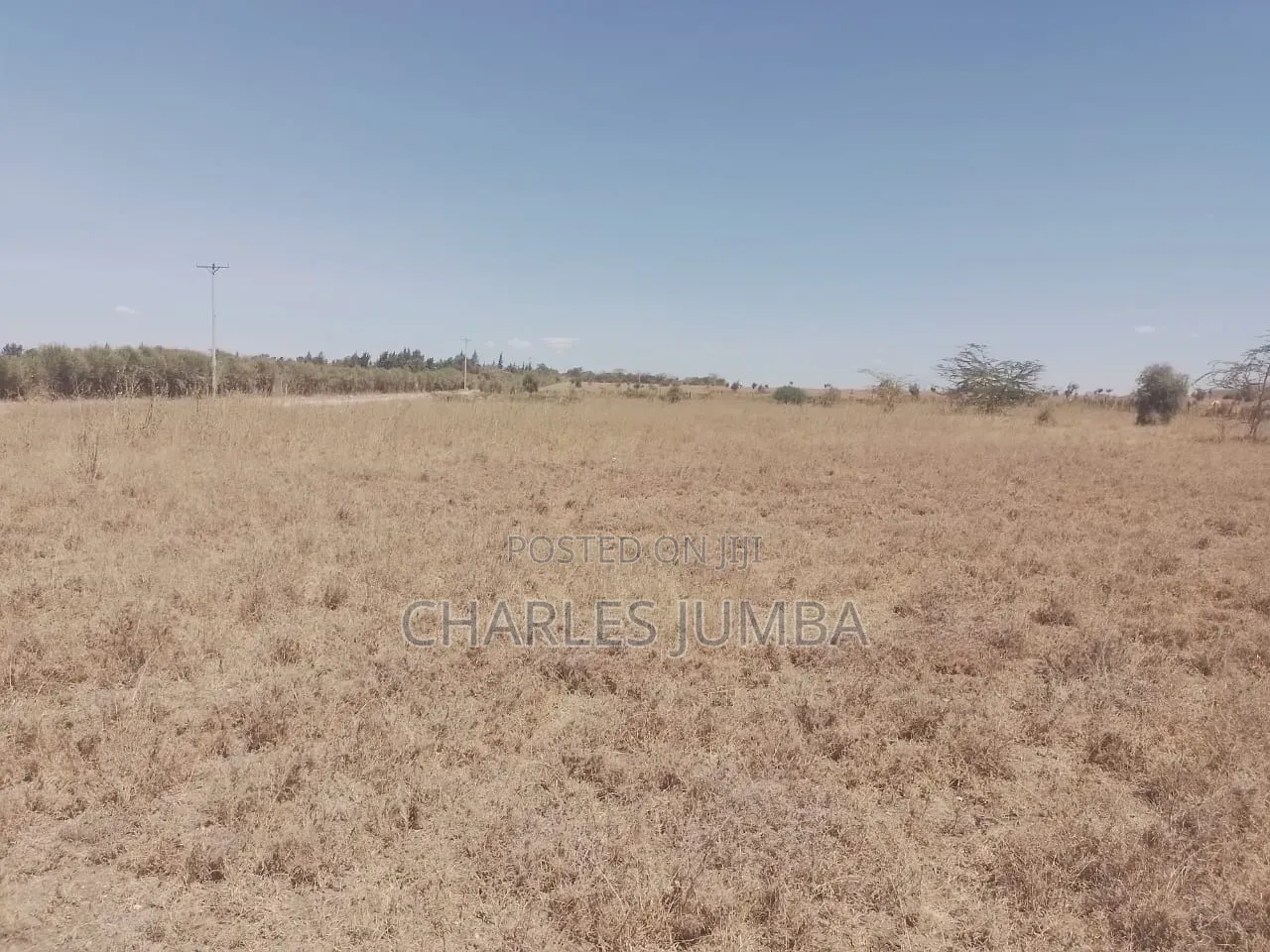 1/8 Plot at KAG