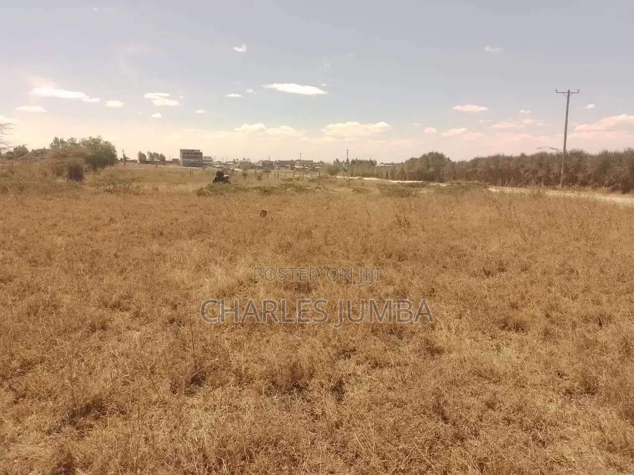 1/8 Plot at KAG