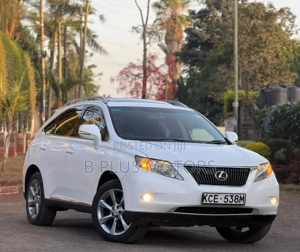 Lexus RX 2010 White
