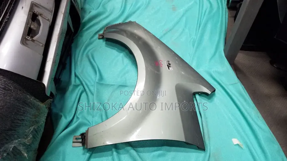 Fender Lh Mitsubishi Delica_d:5 2007