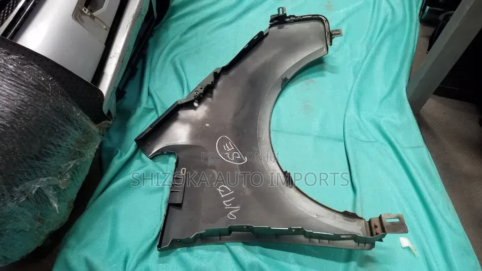 Fender Lh Mitsubishi Delica_d:5 2007
