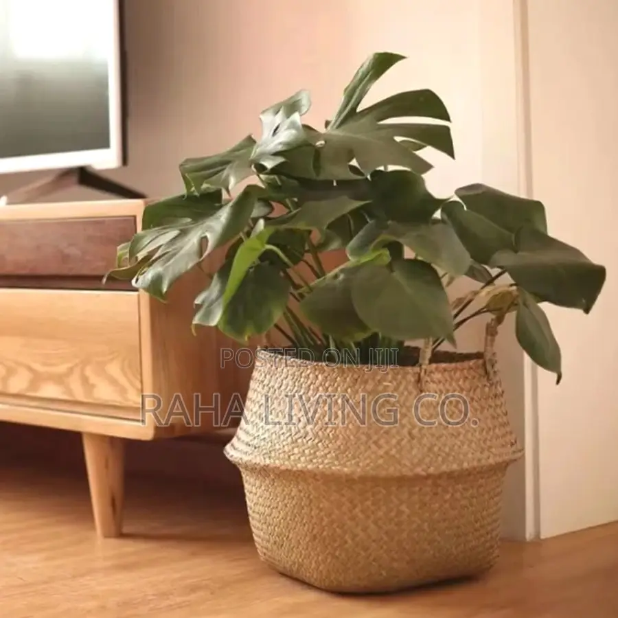 Seagrass Rattan Storage Basket | Handwoven | Plant Pot Cover