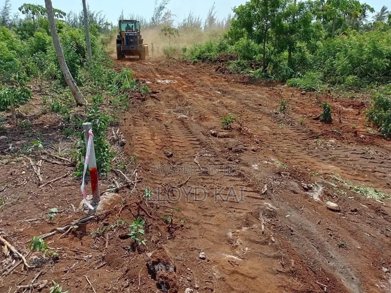 50*100plots for Sale , With Ready Titles!Lipa Mdogomdogo Available