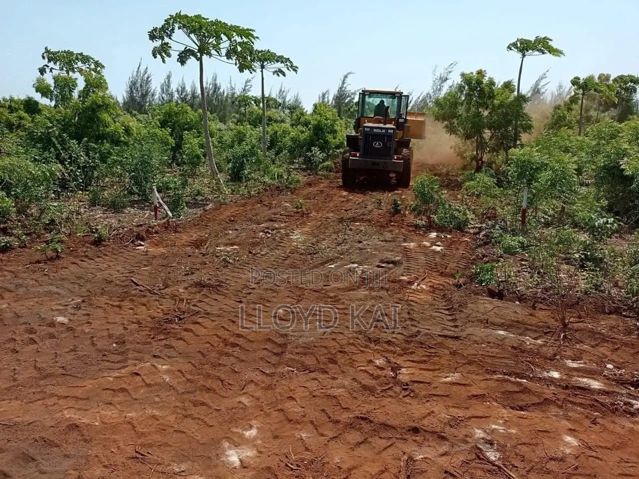50*100plots for Sale , With Ready Titles!Lipa Mdogomdogo Available