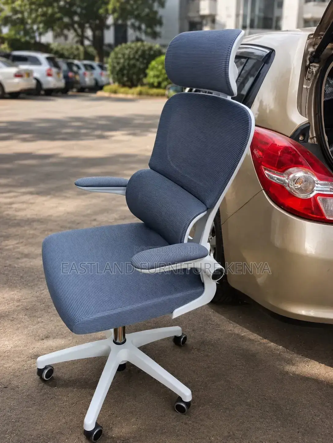 Premium Ergonomic High-Back Office Chair