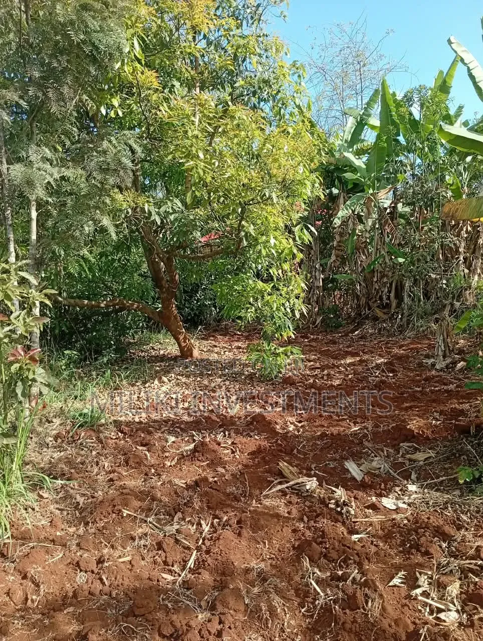 1 Acre on Sale at ITHINGU Gatundu South