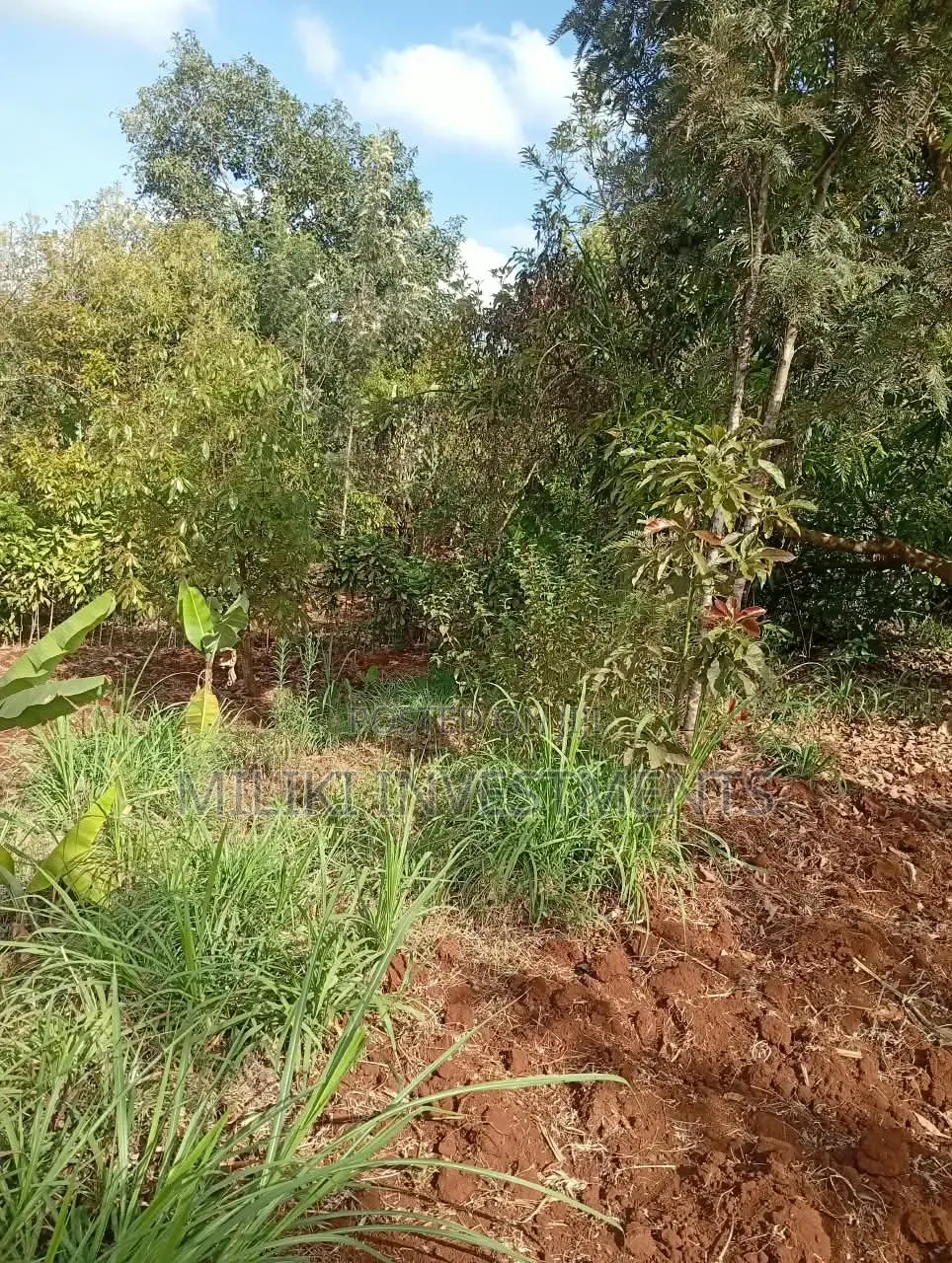 1 Acre on Sale at ITHINGU Gatundu South
