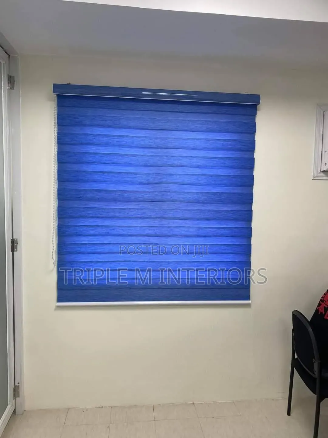 Blue Zebra Roller Blinds for Commercial Spaces