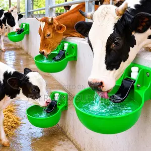 Cow Plastic Drinkers - Plastic Farm Watering Station