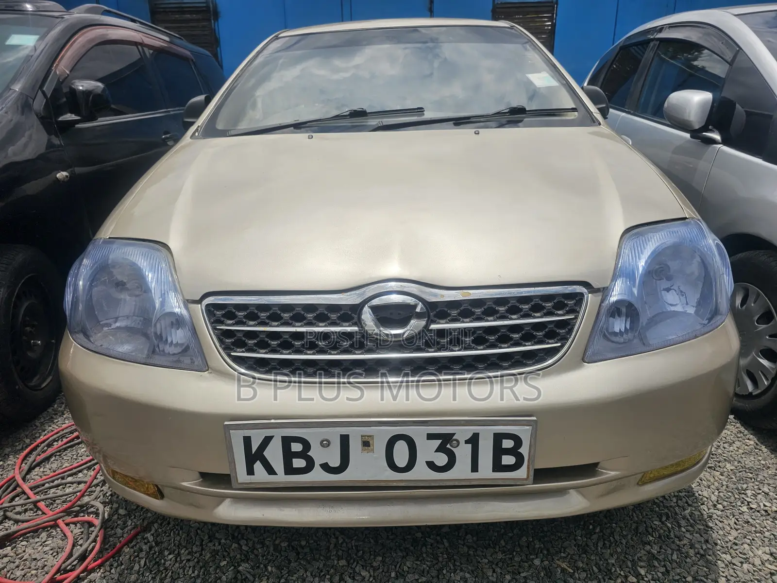 Toyota Corolla RunX 2006 Gold