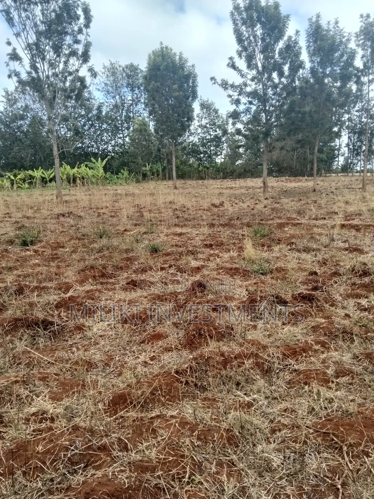 1 Acre Land on Sale at Thika -Maguguni
