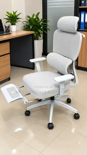 Premium Ergonomic Office Chair With Footrest