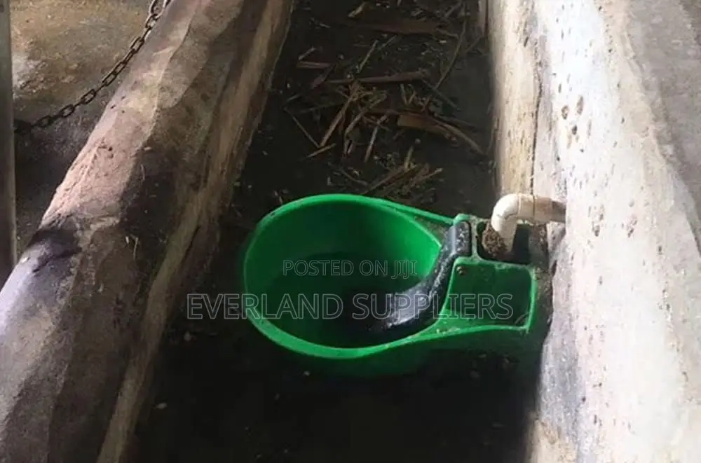 Cow Plastic Drinker - Plastic Cow Drinking Bowl