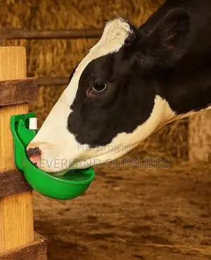 Plastic Cow Drinker - Durable