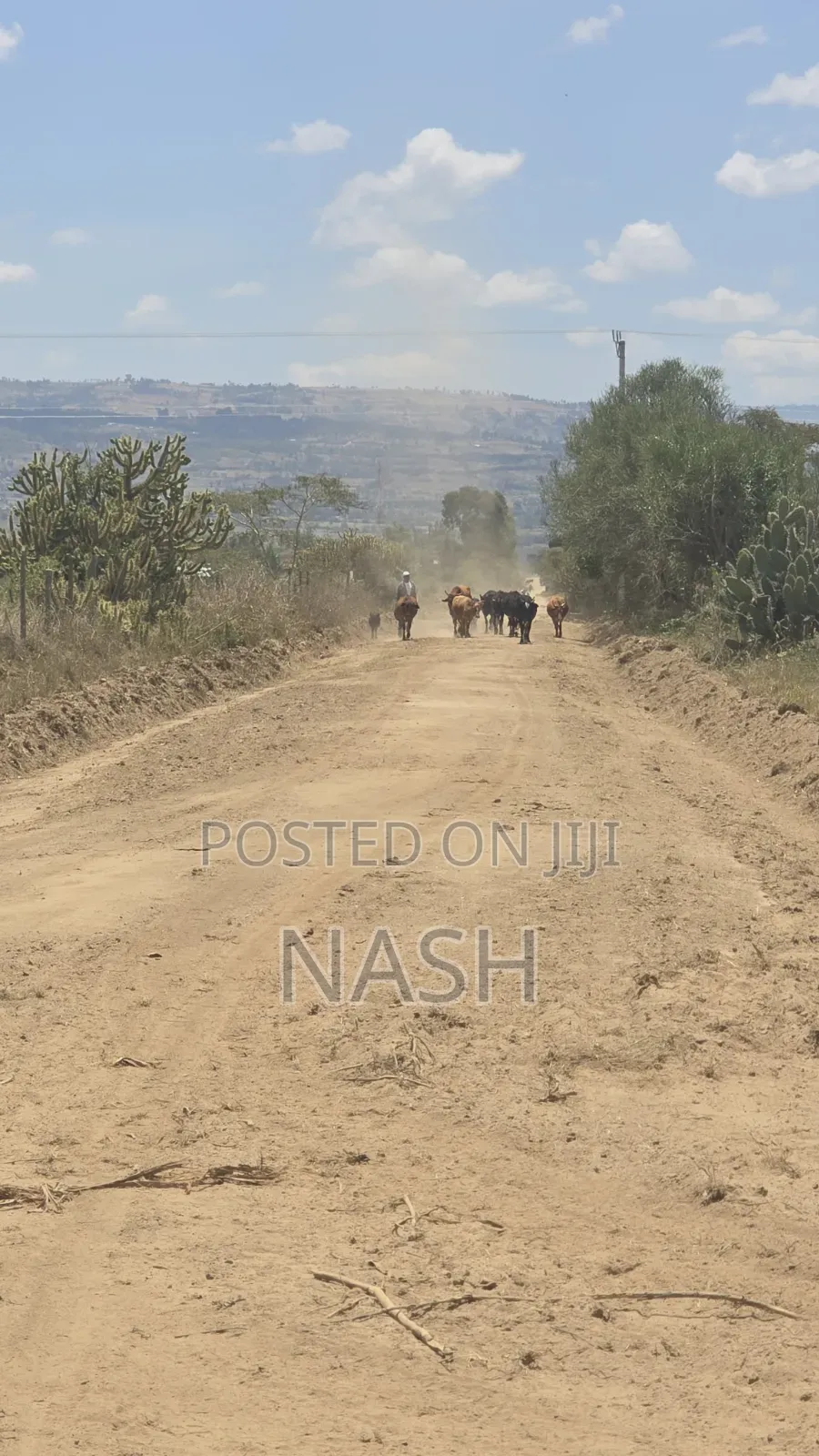 50 X 100 Plots in JB Pipeline Nakuru