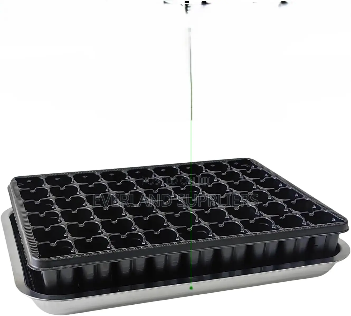 Durable Seedlings Trays - Wholesale
