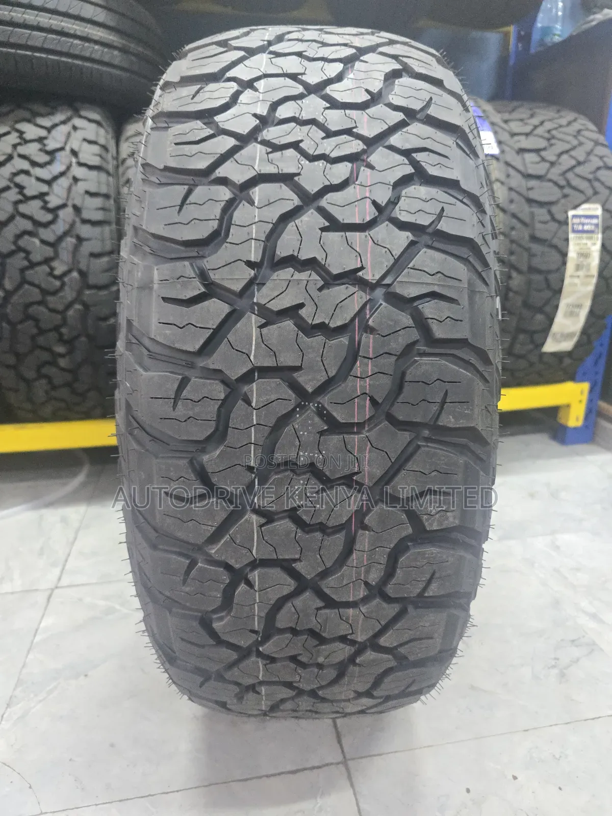 265/55r19 Grenlander All Terrain (A/T) Tire
