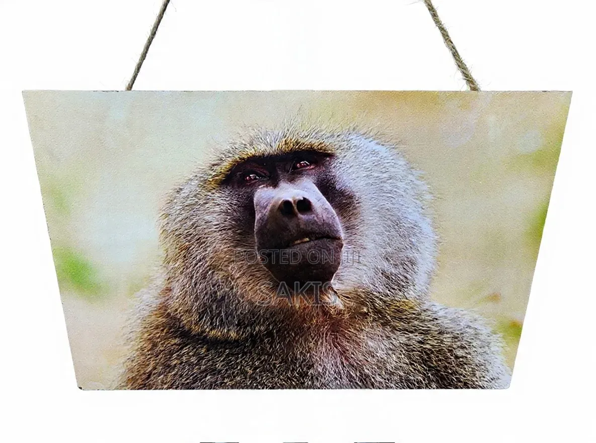 Baboon Wildlife Wooden Wall Hanging Art/Plaque ~ 30x20. Free Delivery