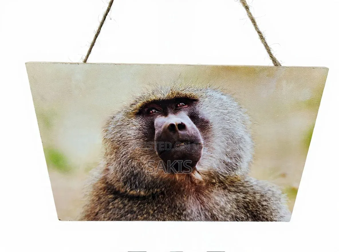 Baboon Wildlife Wooden Wall Hanging Art/Plaque ~ 30x20. Free Delivery