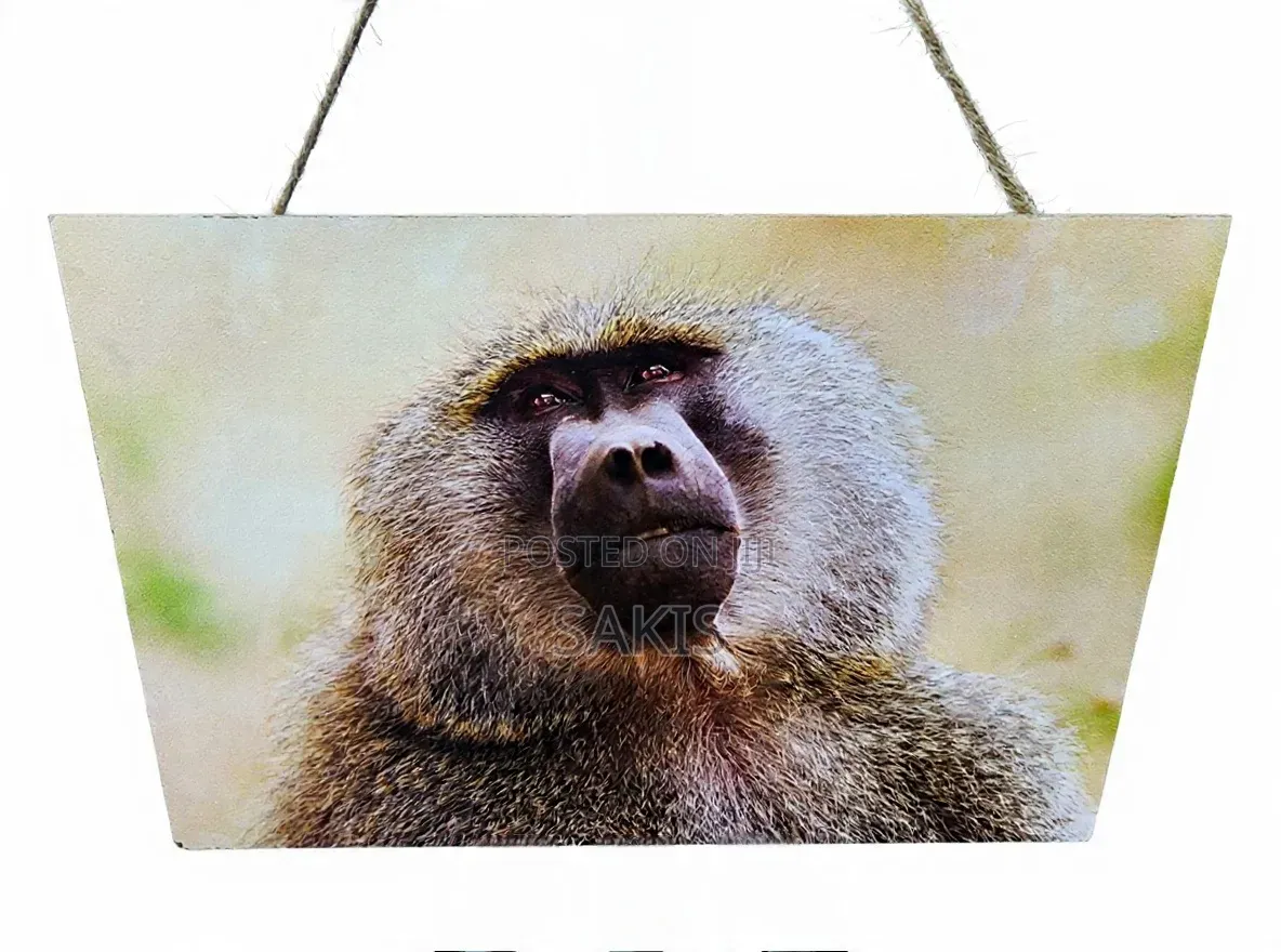 Baboon Wildlife Wooden Wall Hanging Art/Plaque ~ 30x20. Free Delivery