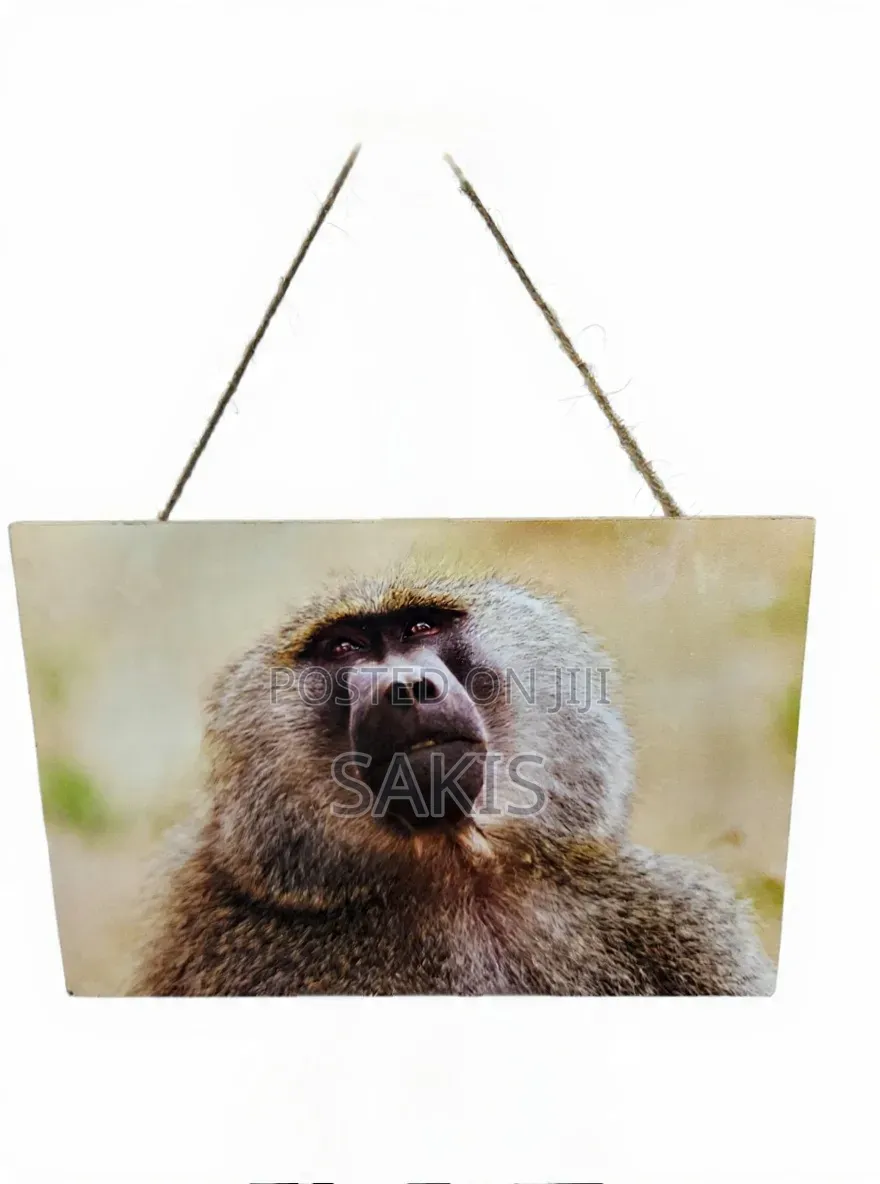 Baboon Wildlife Wooden Wall Hanging Art/Plaque ~ 30x20. Free Delivery