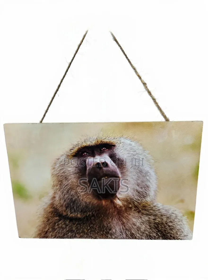 Baboon Wildlife Wooden Wall Hanging Art/Plaque ~ 30x20. Free Delivery