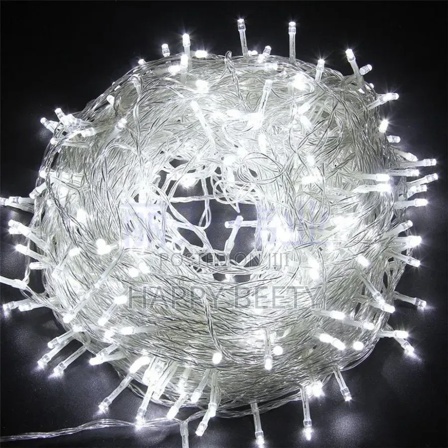 *10 MTRS Christmas LED Lights*