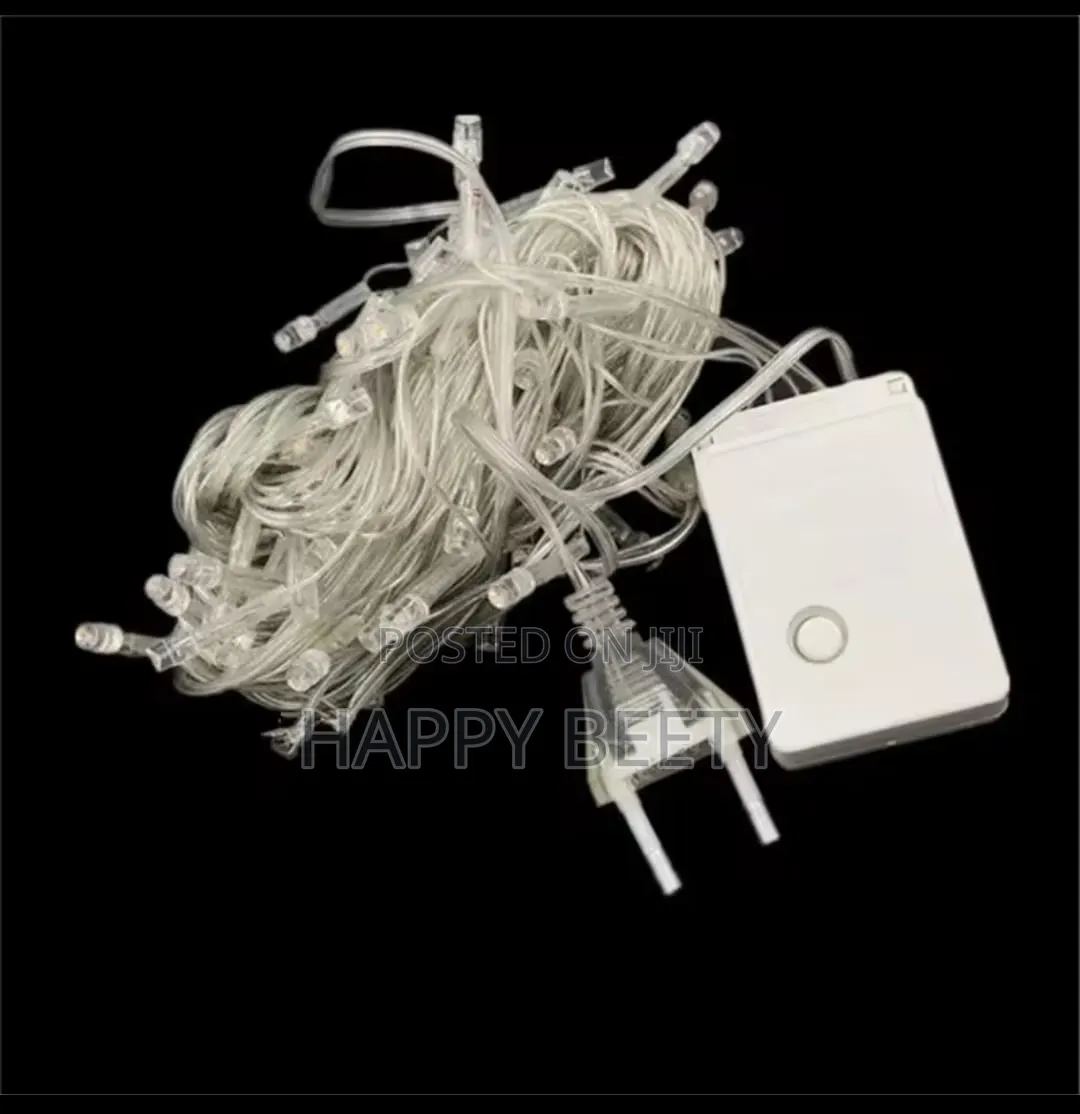 *10 MTRS Christmas LED Lights*