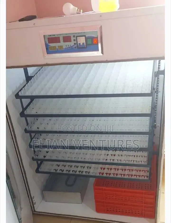 Most Unique 1056 Eggs Incubator for Sale