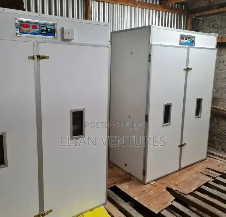 Most Durable 1584 Eggs Incubator
