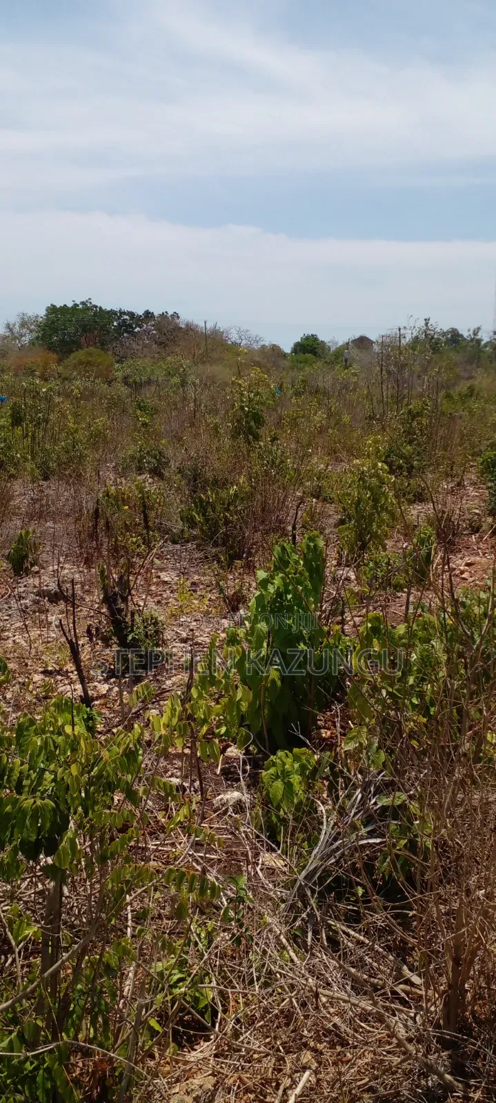 Galu Beach's High-End 1 Acre Plot Close to the White Sandy Beach.