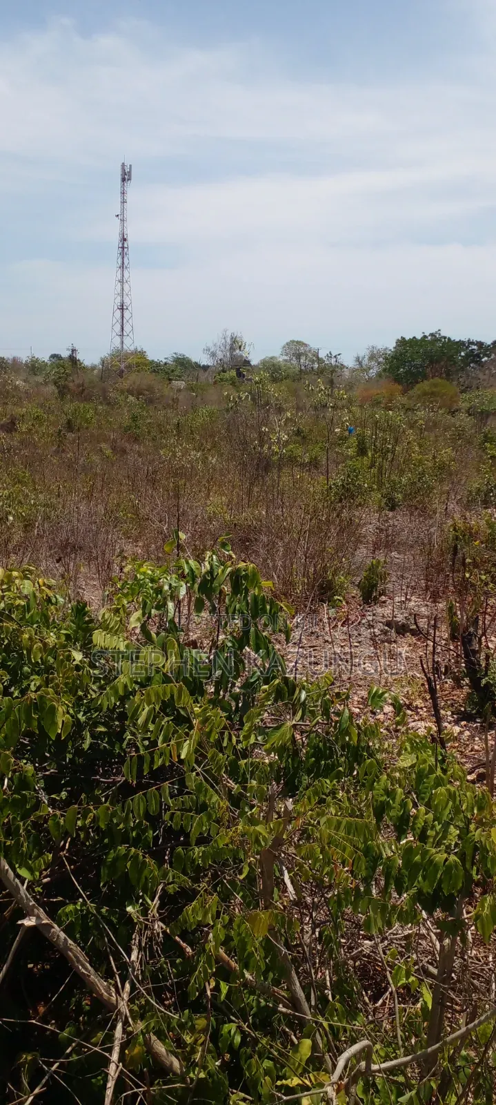 Galu Beach's High-End 1 Acre Plot Close to the White Sandy Beach.