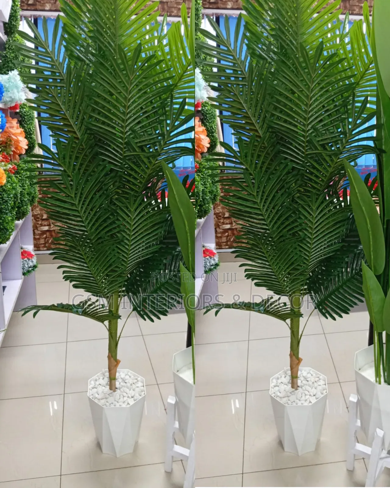 Artficial Palm Plants With Vase and Pebbles 1.8m