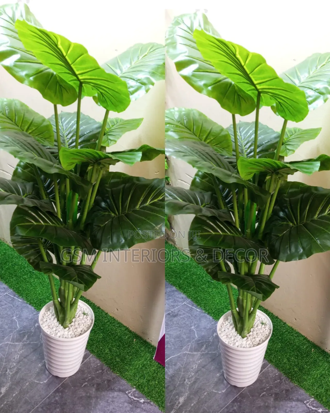 Artificial Tall Plants in Money Plant and Zebra Designs 1.7m