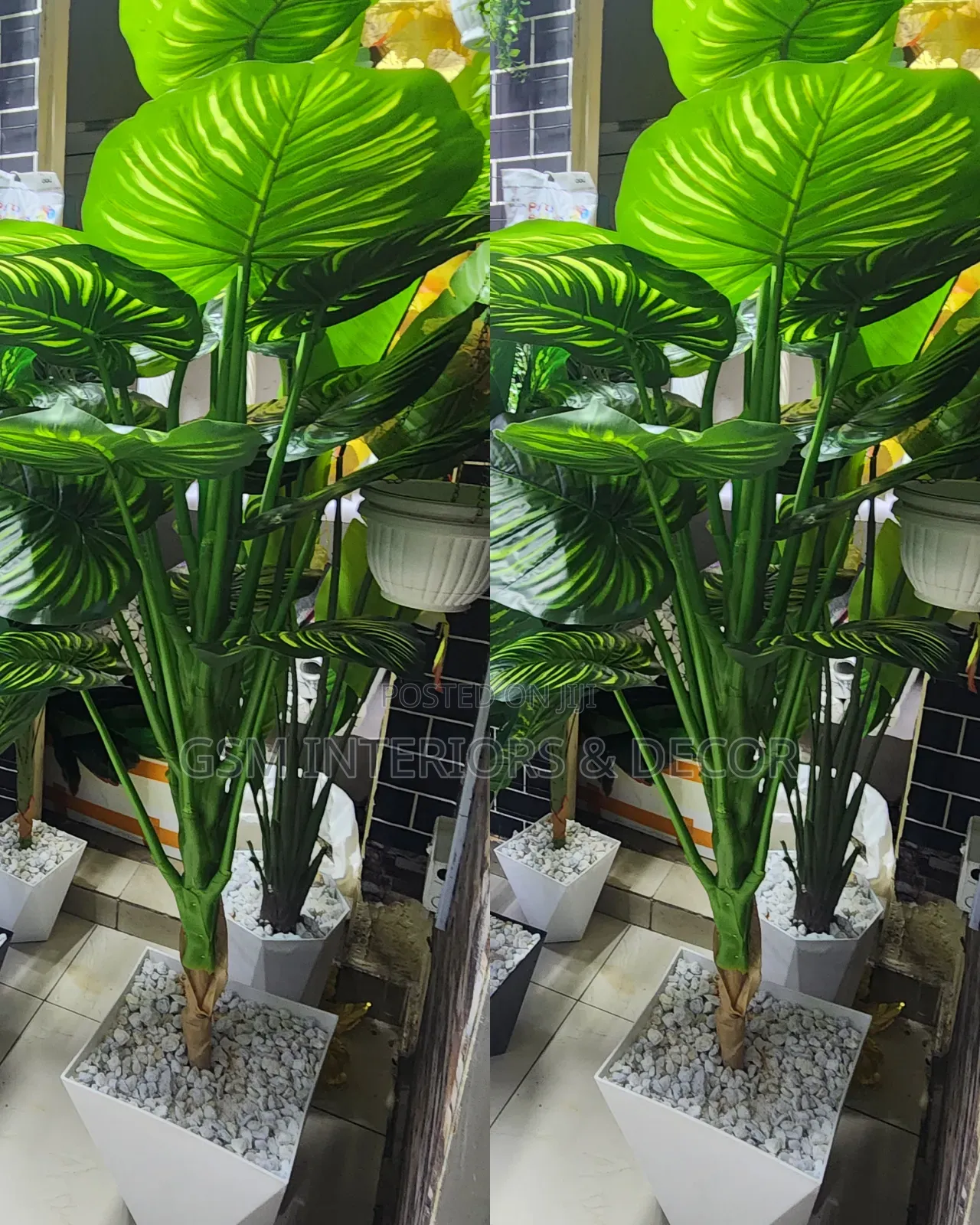 Artificial Green Plain and Coloured Plants for Hotels and Office Space