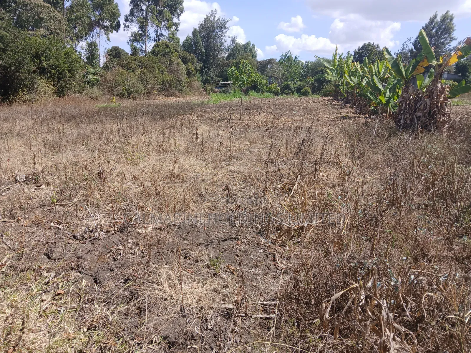 Prime Quarter Acre Plot in Olkeri, Ngong Near Oloolua Forest