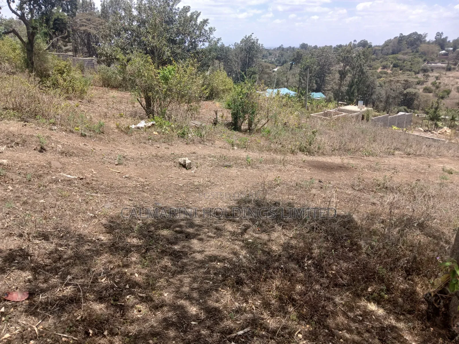 Distress! 100 by 100 Plot on Quick Sale in Olkeri, Ngong Near Tarmac