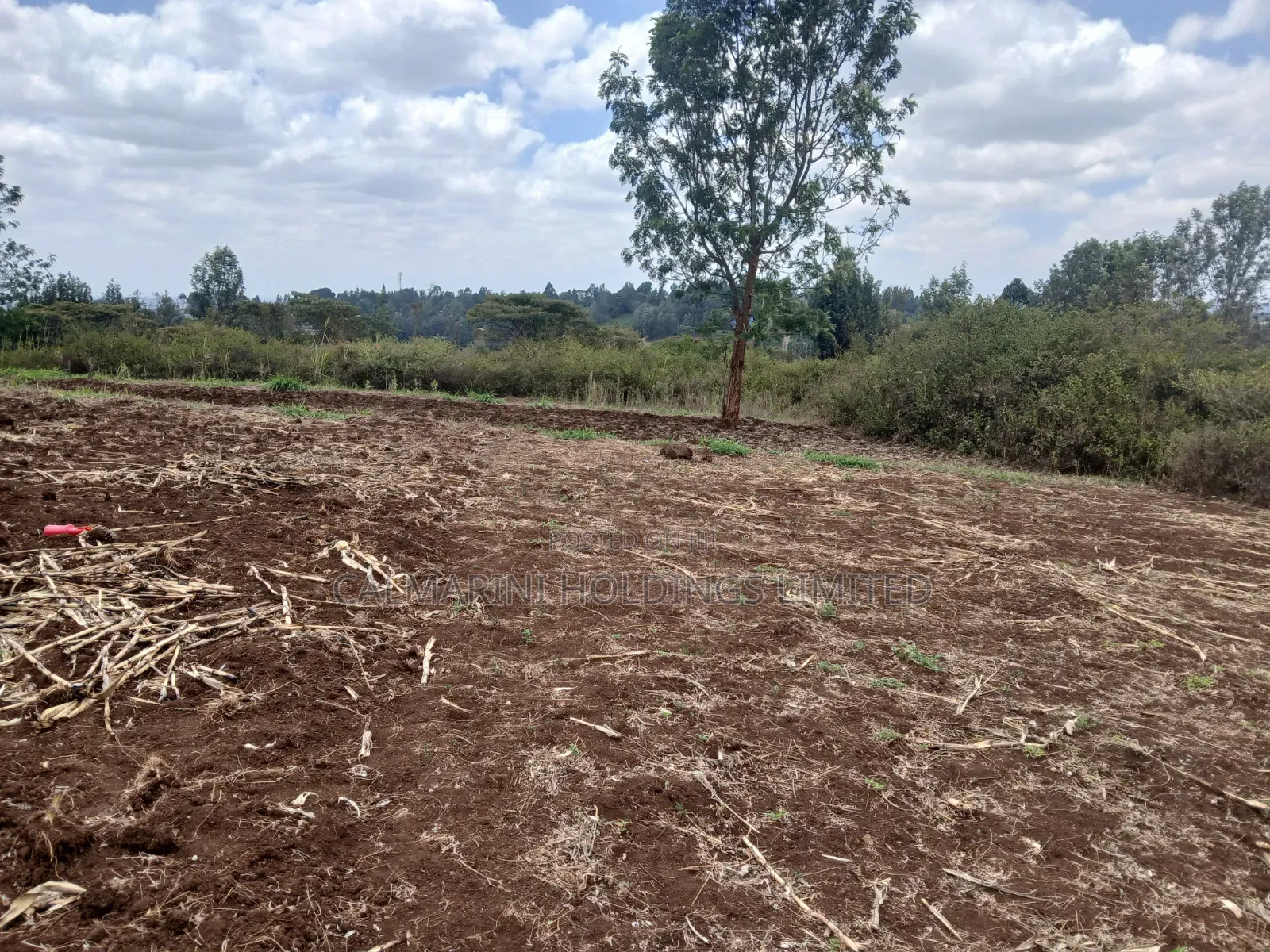 Prime Redsoil 100 by 100 Plot in Olkeri With Great View of Ngong Hills