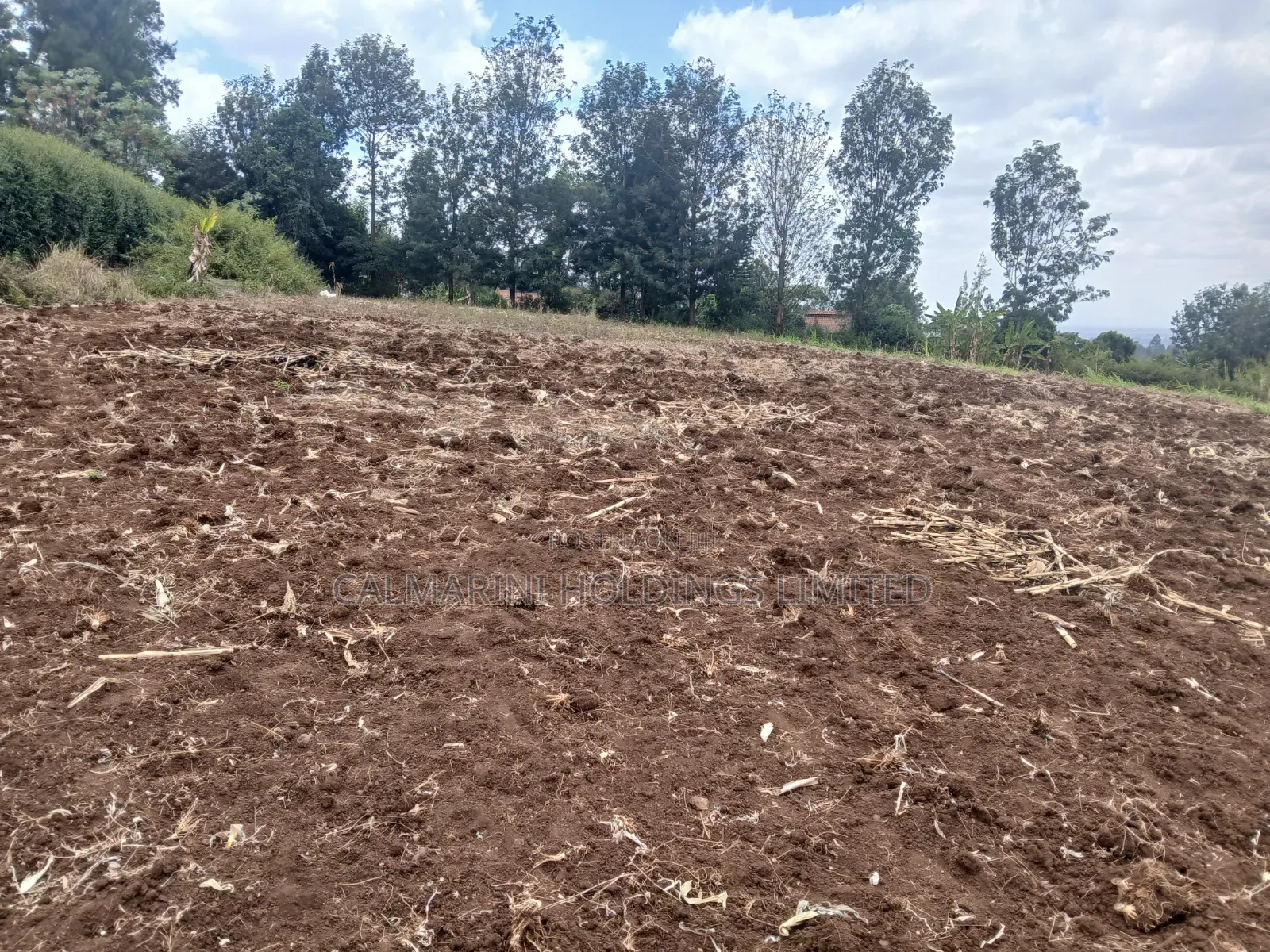 Prime Redsoil 100 by 100 Plot in Olkeri With Great View of Ngong Hills