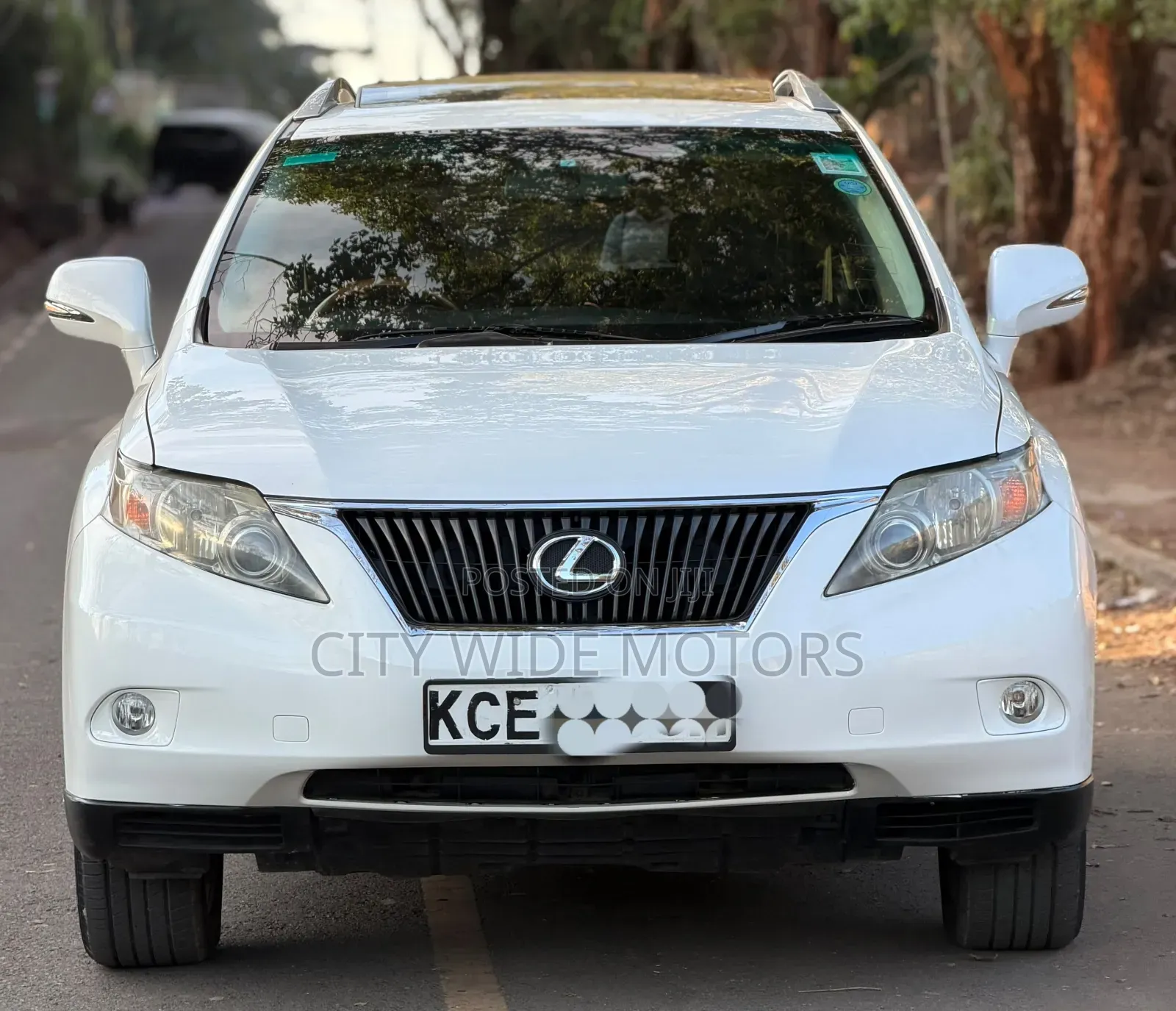 Lexus RX 2010 White