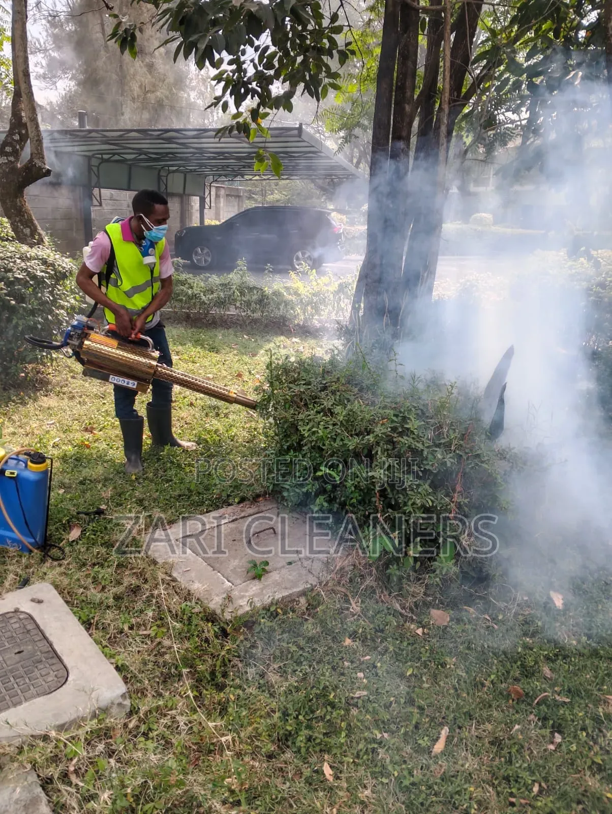 Cockroach in Your Kitchen? Gas Fumigation Finishes All