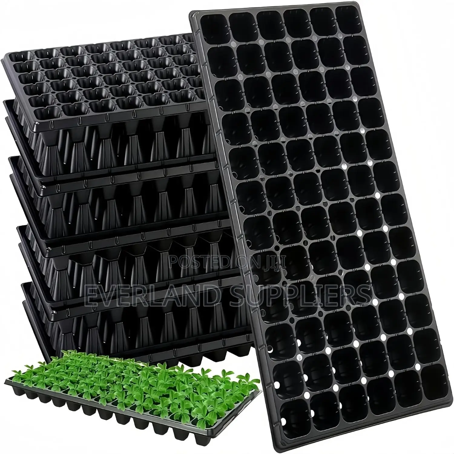 Strong Plastic Seedling Trays - Wholesale