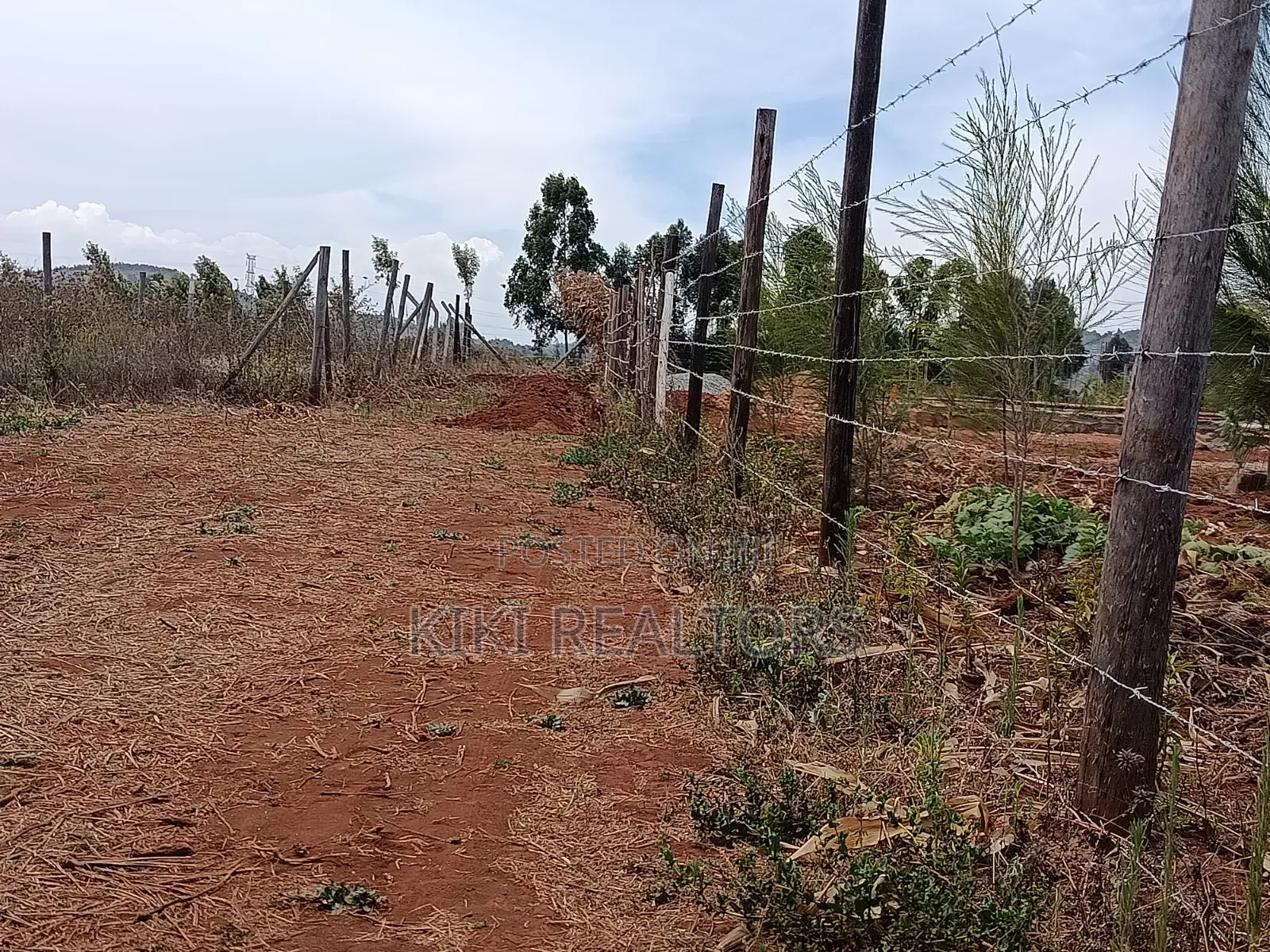 Kikuyu Thigio Prime Plots