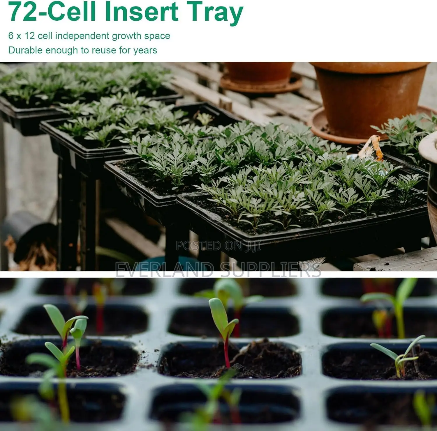Multi-Cell Seedling Trays - Wholesale