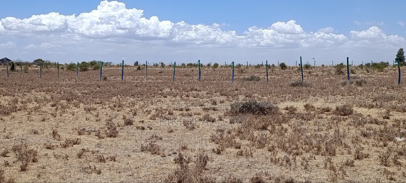 Ruiru Kamakis Mwalimu Farm Prime Plots