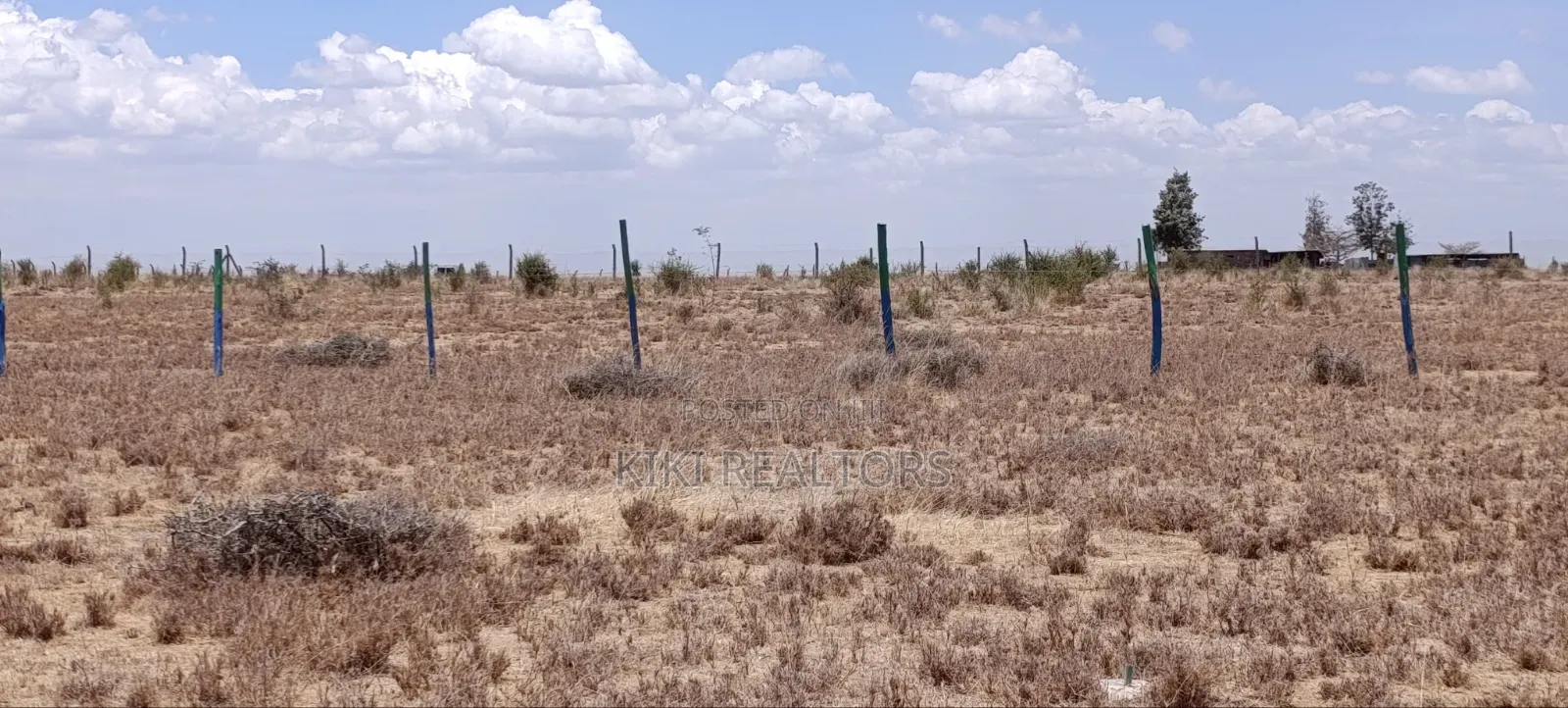 Ruiru Kamakis Mwalimu Farm Prime Plots